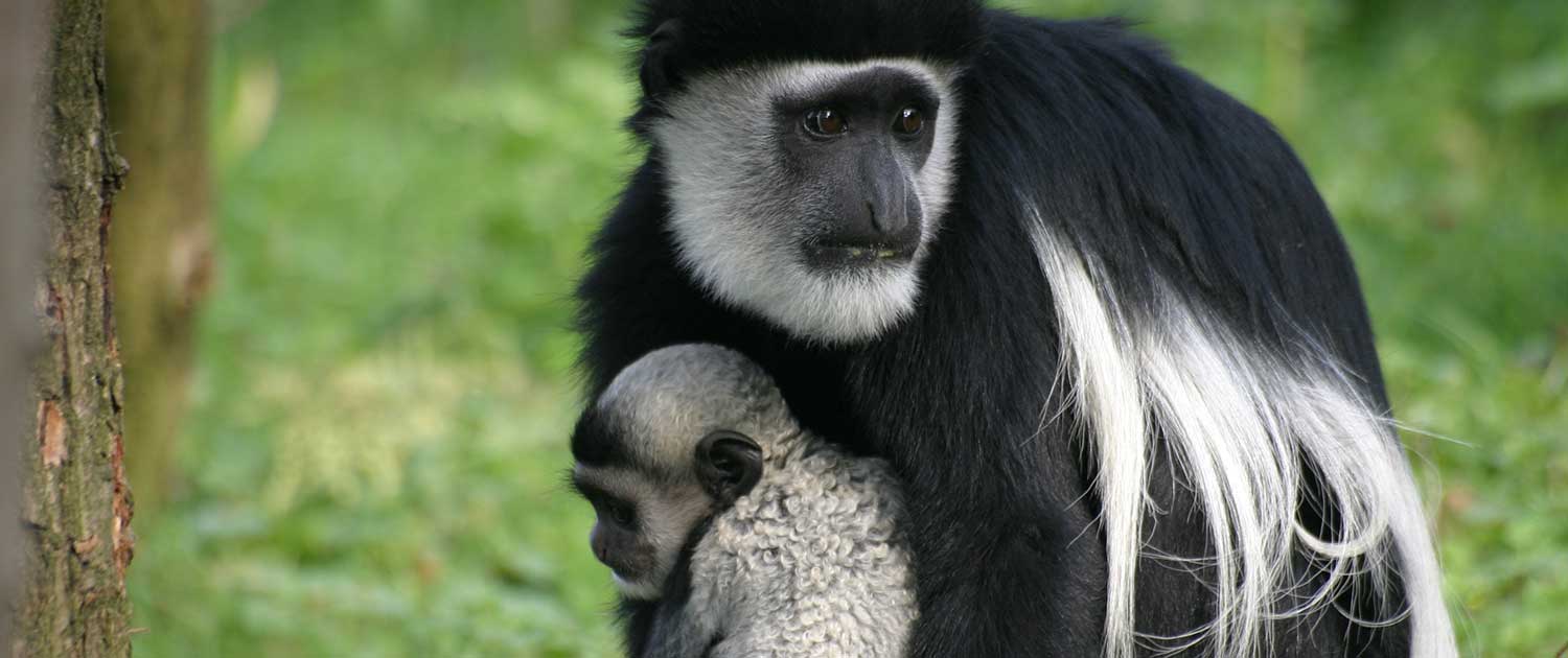 Arusha National Park