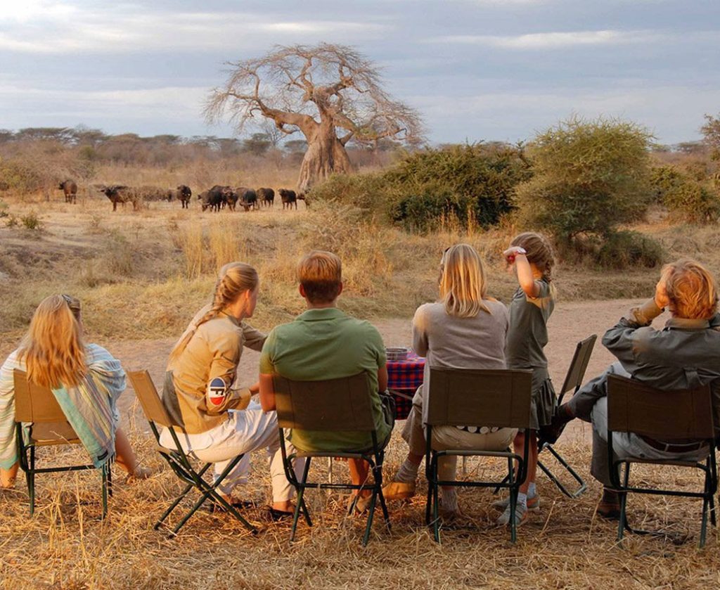 Tanzania Family Holidays: Experience The Magic Of Africa Together With Unforgettable Wildlife Encounters, Breathtaking Landscapes, And Cultural Immersion.