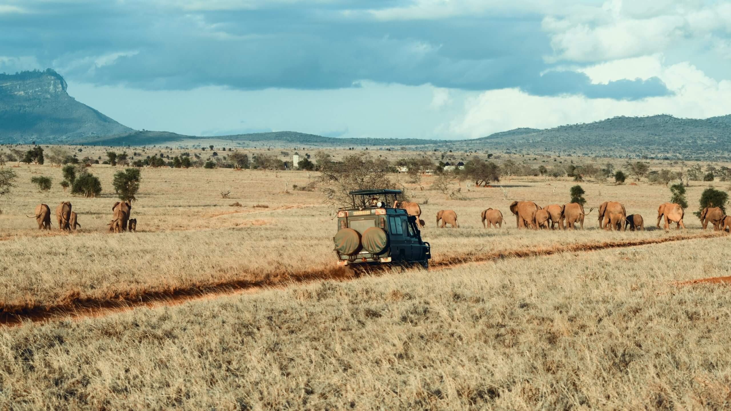 Tanzania Safari And Beach