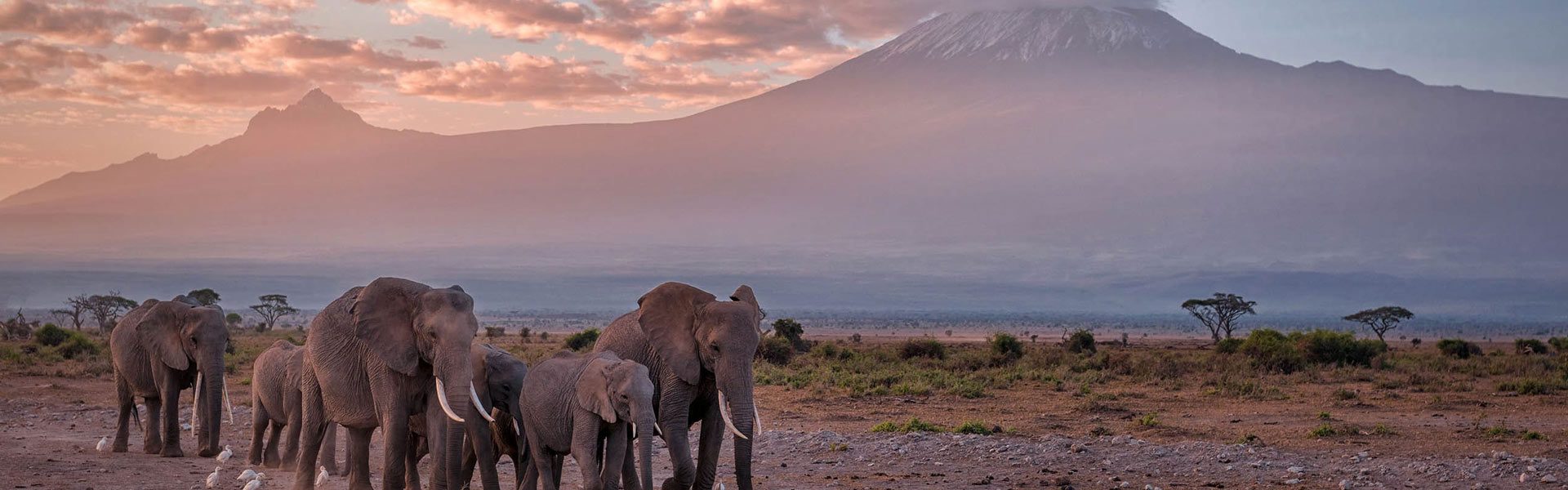 Kilimanjaro National Park Is Home To Africa'S Highest Peak. Explore Diverse Ecosystems, Spot Unique Wildlife, And Embark On Unforgettable Treks.