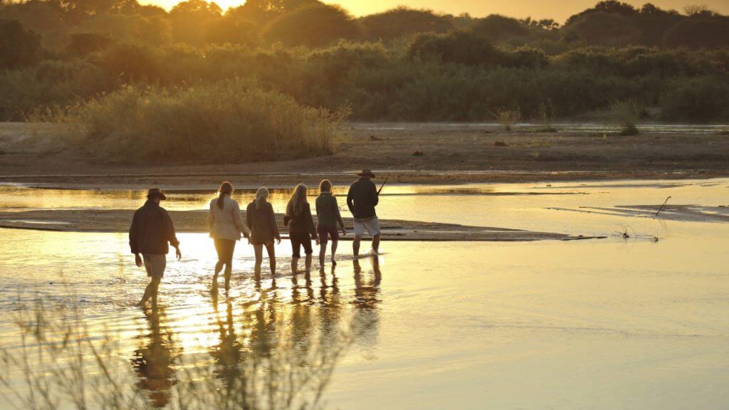 ruaha walking safaris river 1920x1080 1