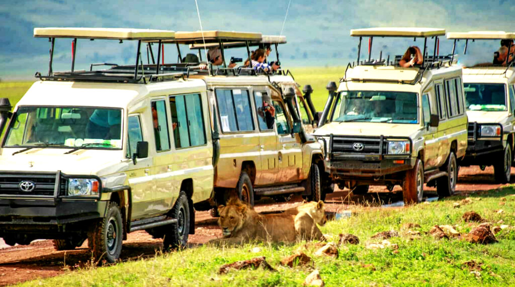 Ngorongoro Crater 2408