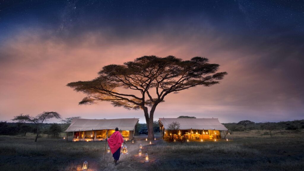 Serengeti Under Canvas Starry Nights
