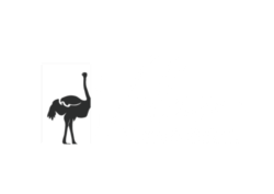 Velam Safari Logo