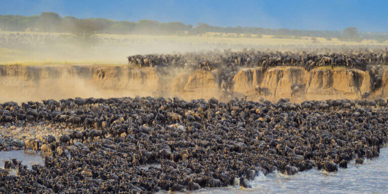 The Great Serengeti Migration